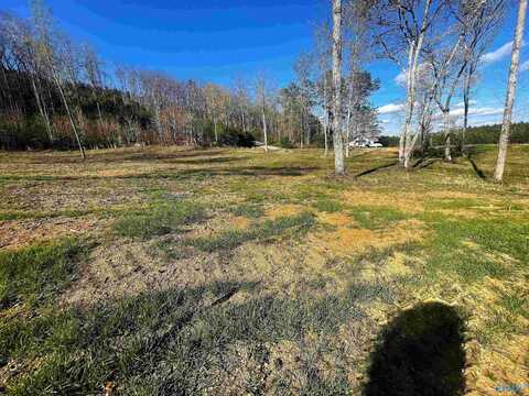 Lot 12 Thompson Road, Altoona, AL 35952