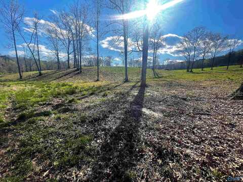 Lot 15 Thompson Road, Altoona, AL 35952