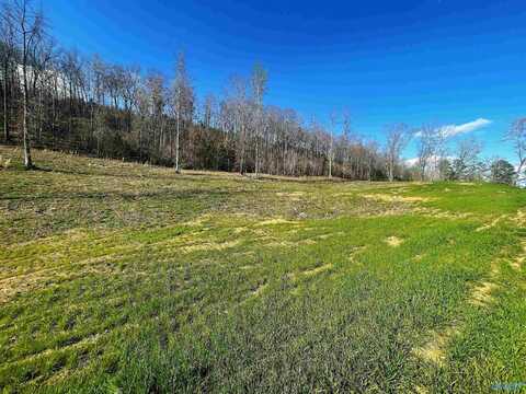 Lot 9 Thompson Road, Altoona, AL 35952