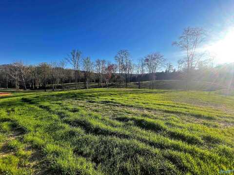 Lot 26 Thompson Road, Altoona, AL 35952