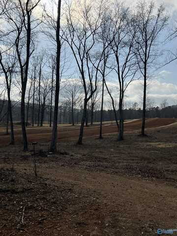 Lot 2 Thompson Road, Altoona, AL 35952