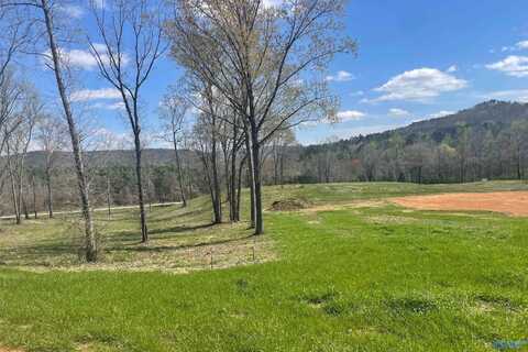 Lot 5 Thompson Road, Altoona, AL 35952