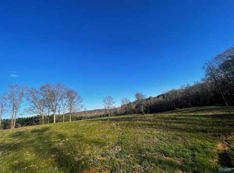 Lot 29 Thompson Road, Altoona, AL 35952