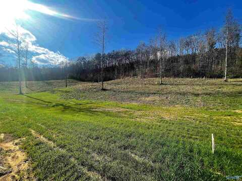 Lot 8 Thompson Road, Altoona, AL 35952