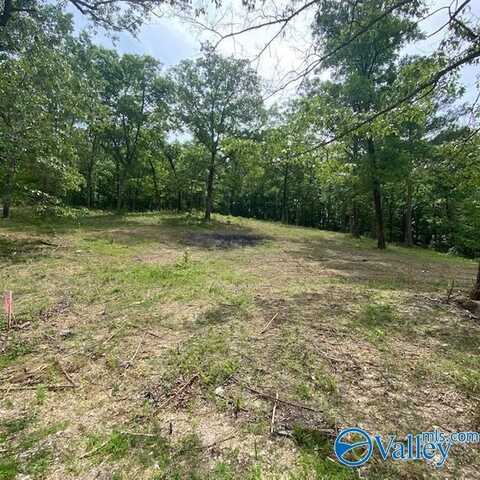 4070 Highway 273, Leesburg, AL 35983