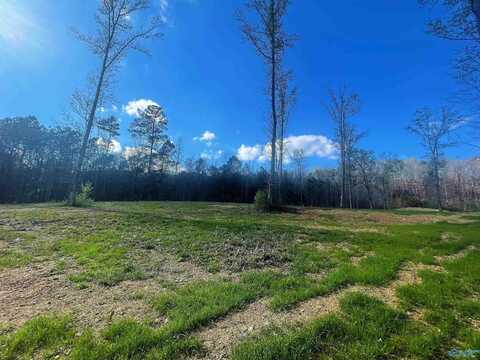 Lot 4 Thompson Road, Altoona, AL 35952