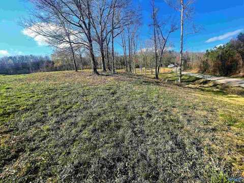 Lot 16 Thompson Road, Altoona, AL 35952