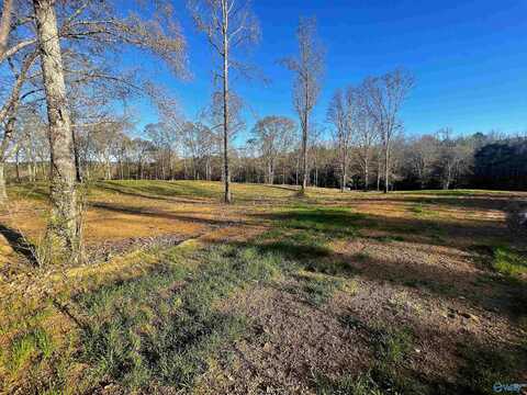 Lot 22 Thompson Road, Altoona, AL 35952