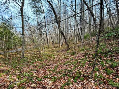 Azalea Way lot: 7, Saluda, NC 28773