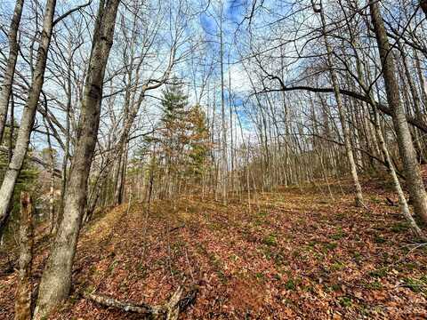 Azalea Way lot: 8, Saluda, NC 28773
