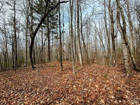 Lot 14 Rhododendron Drive, Saluda, NC 28773