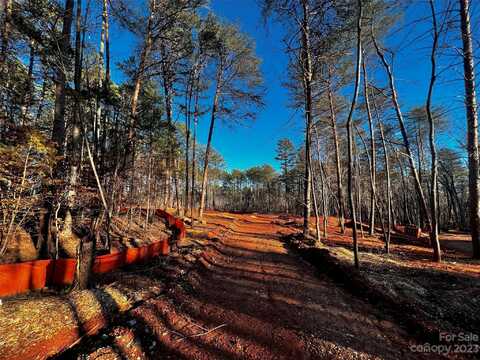 130 Hunt Camp Trail, Davidson, NC 28036