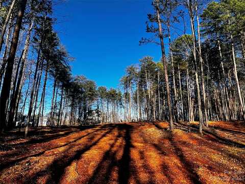 109 Hunt Camp Trail, Davidson, NC 28036