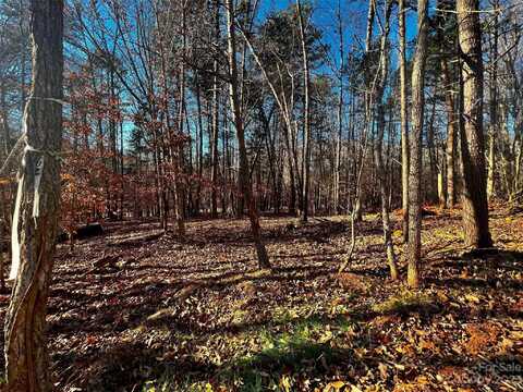 156 Copper Pine Lane unit: 5, Davidson, NC 28036