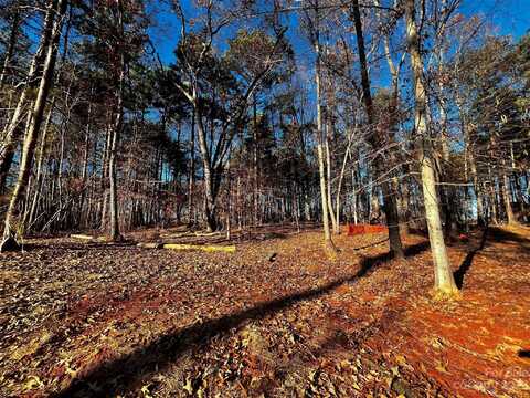 123 Hunt Camp Trail unit: 17, Davidson, NC 28036