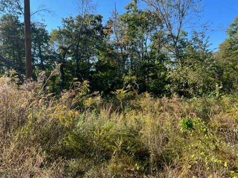 Lot 16 Birsay LN, Bella Vista, AR 72715