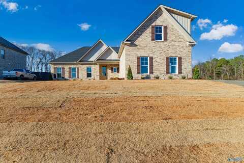 223 Oakland View Drive, Brownsboro, AL 35741