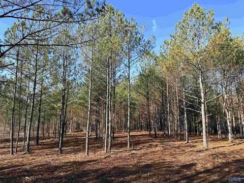 5.61 Acres Highway 9, Centre, AL 35960