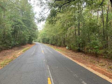 TRAINO Road, Ponchatoula, LA 70454