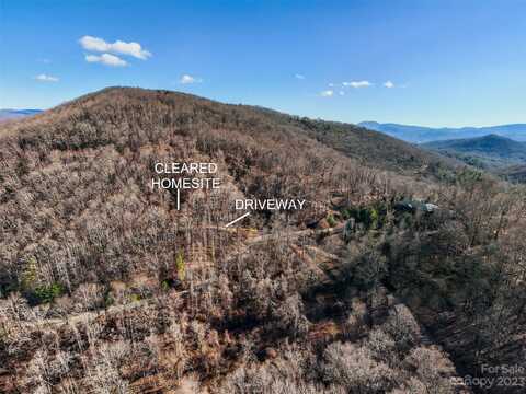 64 Flora Rose Trail, Asheville, NC 28803