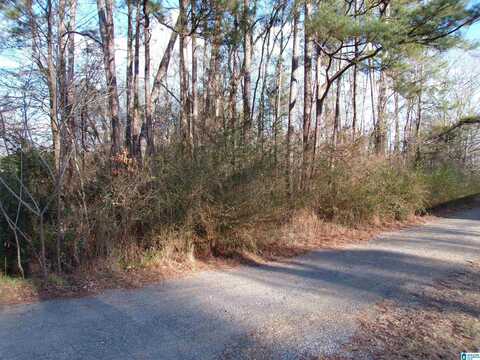 Lot 51 BROADLEAF DRIVE, LINCOLN, AL 35160