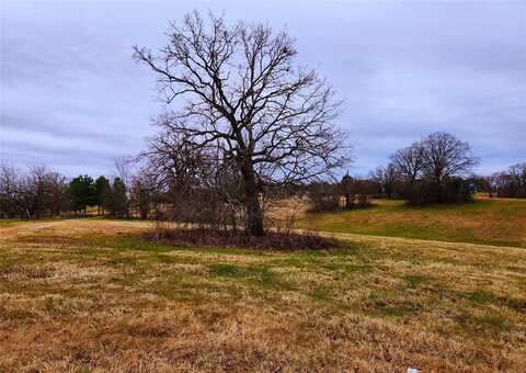 Lot 125 Clear View Court, Athens, TX 75752