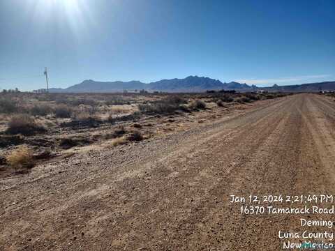 16370 Tamarack Rd SE Road, Deming, NM 88030