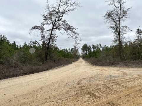 Tract#6411 White Road, Chipley, FL 32428