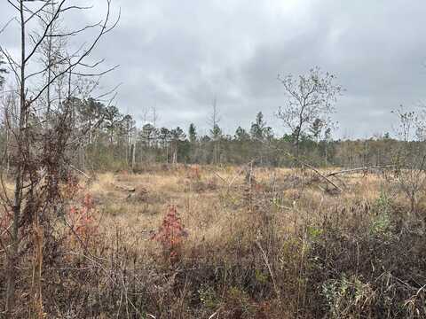 Tract#6402 S Chance Road, Chipley, FL 32428