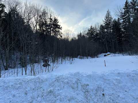 Lot #b-1 Mountain Road, Coplin Plt, ME 04970