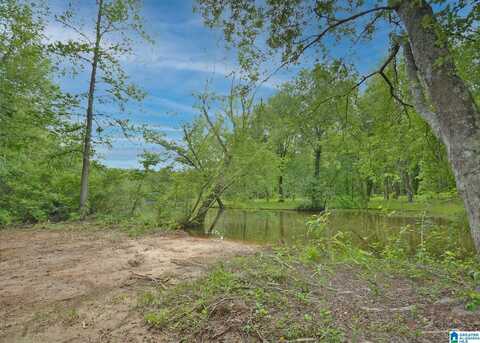 Lot 8 COUNTY ROAD 244, WEDOWEE, AL 36278