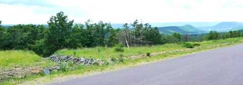 TH Lot 135 Buttonbush Lane, Hazle Twp, PA 18202