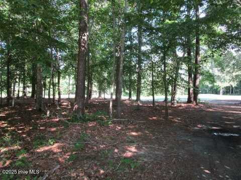 Lot 1 Roanoke Drive, Hertford, NC 27944