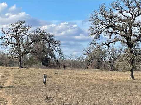 Tbd Grant Prairie Road, Franklin, TX 77856