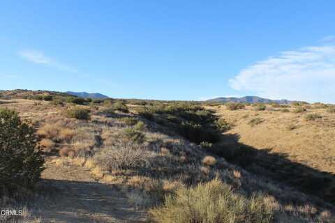 0 Santa Barbara Canyon Road, Cuyama, CA 93254