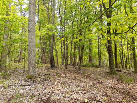 Lot #1 Muddy Creek Mouontain Road, Alderson, WV 24910