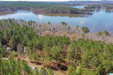 SHORE SIDE LANE, SYLACAUGA, AL 35151