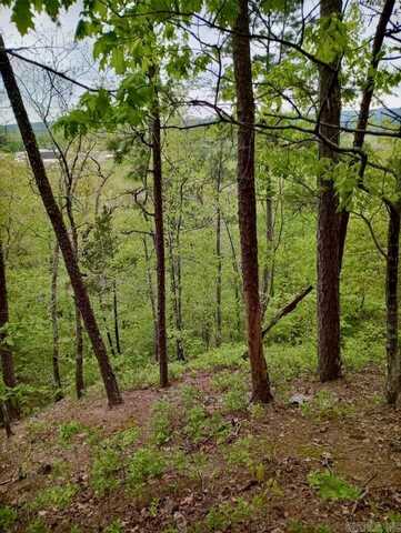 000 Caddo Hills Lane, Caddo Gap, AR 71935