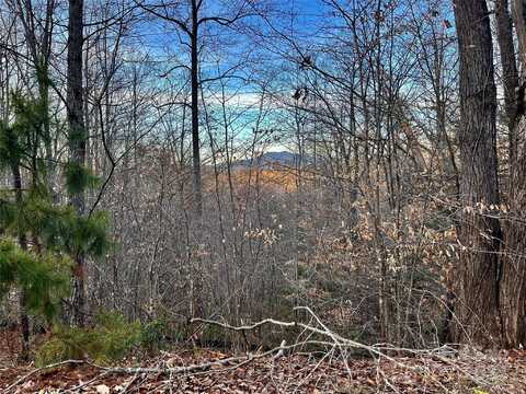 Lot 79 Big Branch Drive, Marion, NC 28752