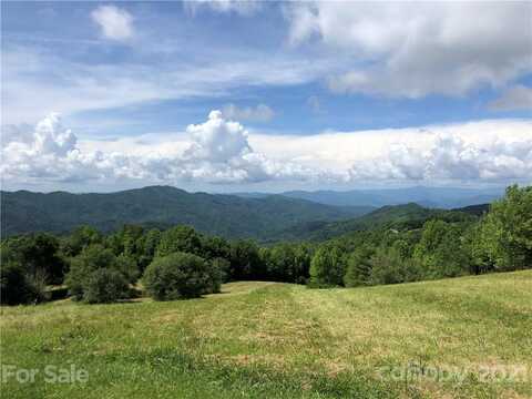 1656 Grasslands Parkway, Marshall, NC 28753