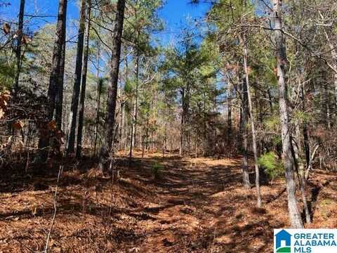 0 COLDWATER MTN, OXFORD, AL 36203