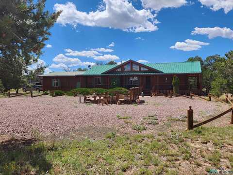 Apache Pass, Quemado, NM 87829