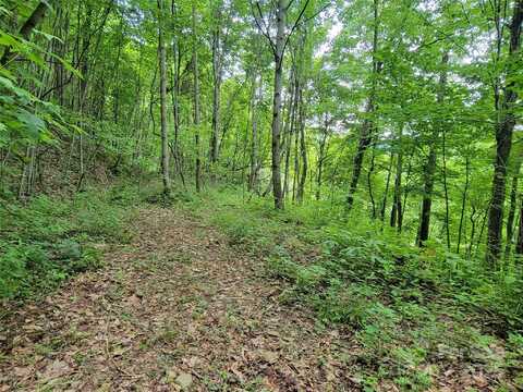 75 Rimrock Ridge unit: I, Clyde, NC 28721