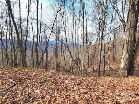 75 Rimrock Ridge, Clyde, NC 28721