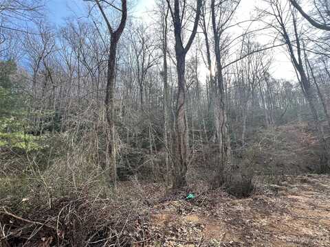 Oakdale Estates Drive lot: 19, Old Fort, NC 28762