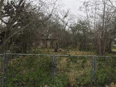 1116 Lucero Street, Alice, TX 78332