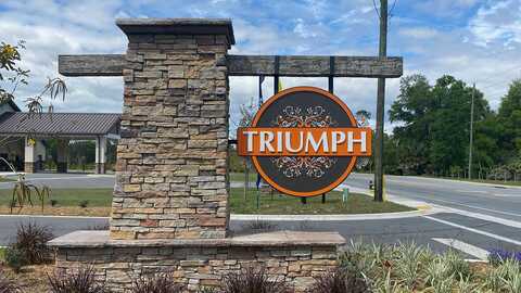 8510 Triumph Circle, Wildwood, FL 34785