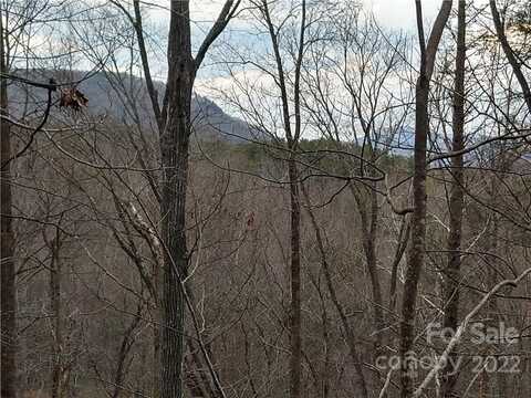 Rock Spring Road lot: 94 & 95, Lake Lure, NC 28746