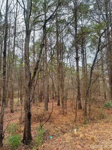 Lot 3 Great Falls Highway, Chester, SC 29706