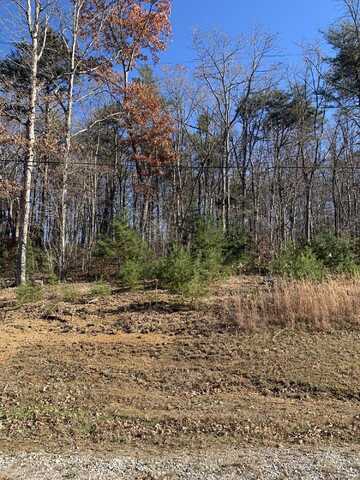 Lot# 9a/10 Peaceful Rd Rd, Spencer, TN 38585